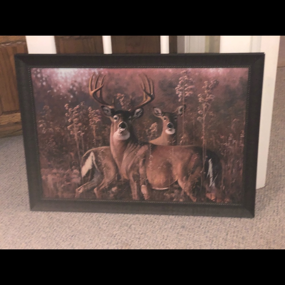 Deer photo
